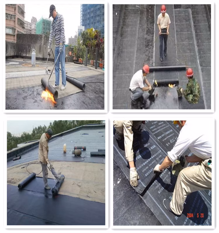 Torched Flat Roof Sbs Modified Bitumen Roll Waterproofing Membrane 3mm