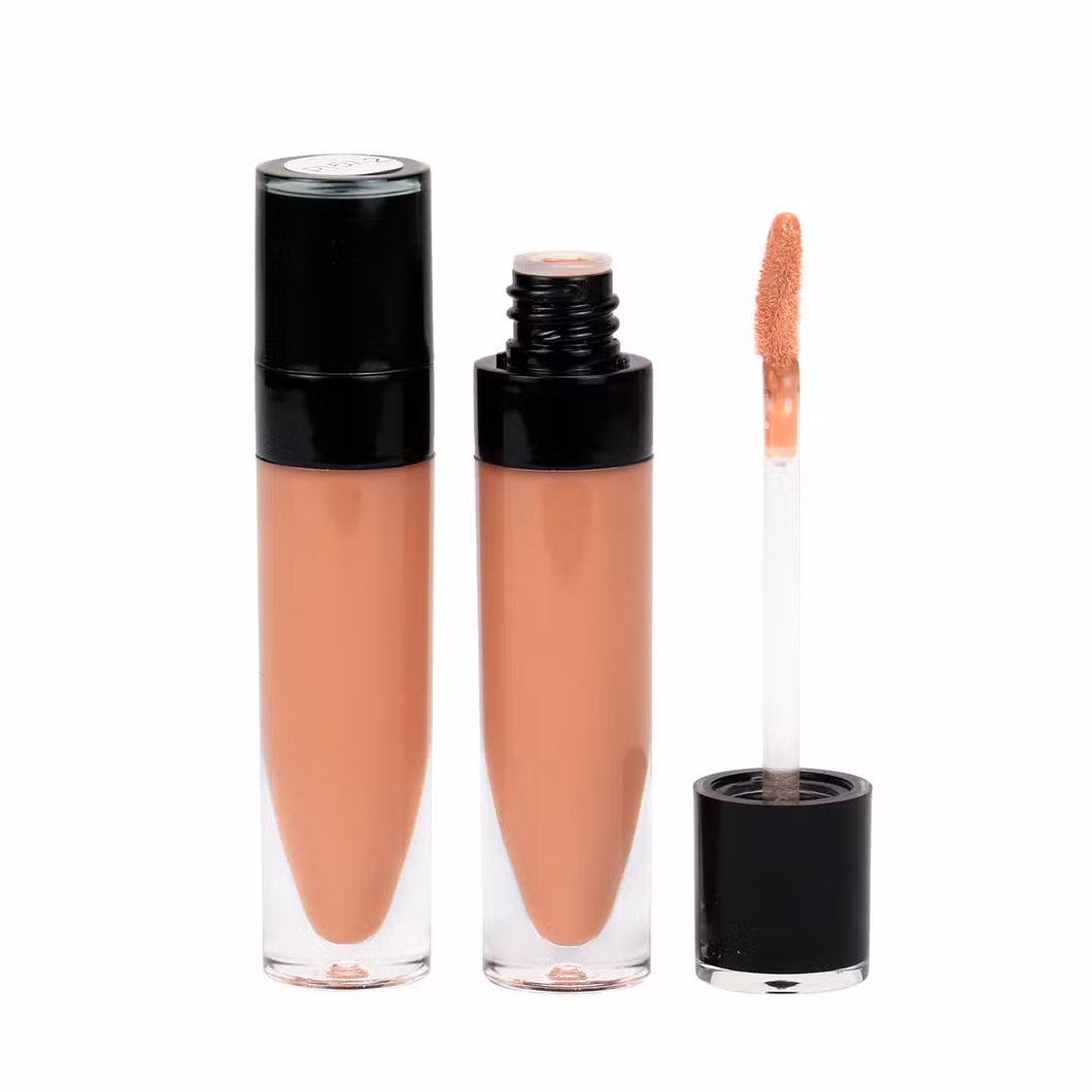 Matte Lip Gloss Cosmetics Private Label with Matte Finish Free Samples Bulk