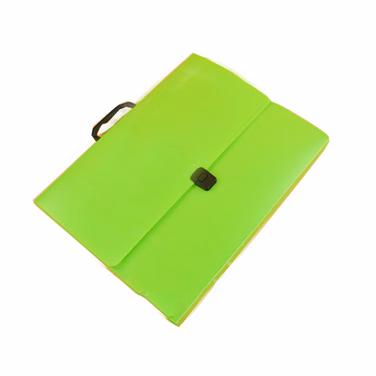 New Pattern A4 Portable PP Buckle Document Case for Office