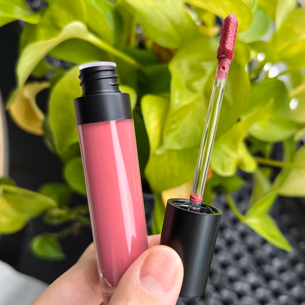 OEM/ODM Lip Gloss Cosmetics Factory Matte Finish Private Label