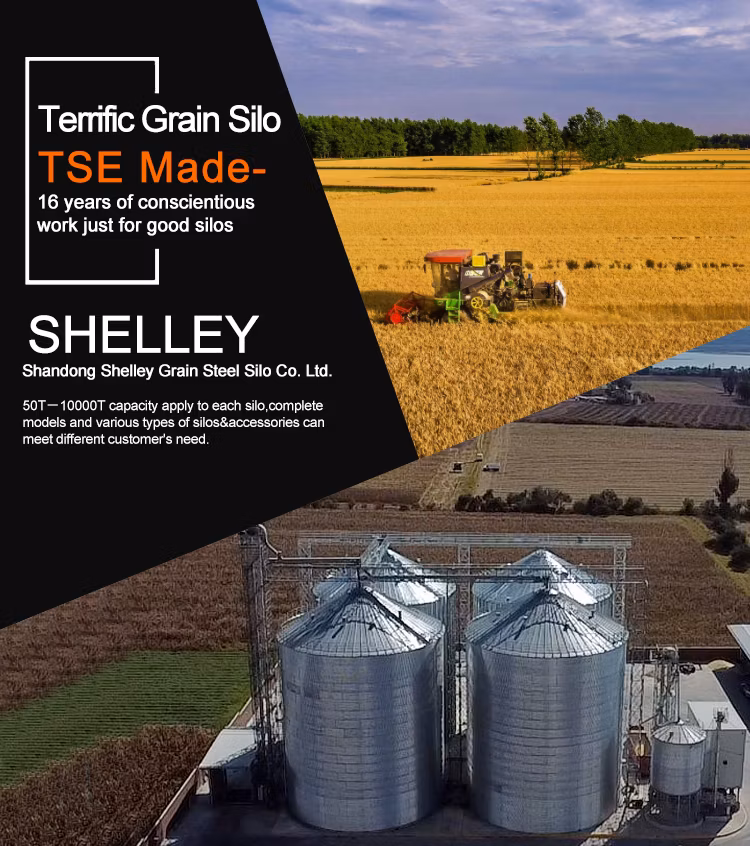 Factory Outlet Large Capacity Galvanized Steel Multi-Type Chicken Farm Pig Farm Livestock Farm Feed Silowith Reasonable Price. 500ton Hopper Bottom Grain Silo
