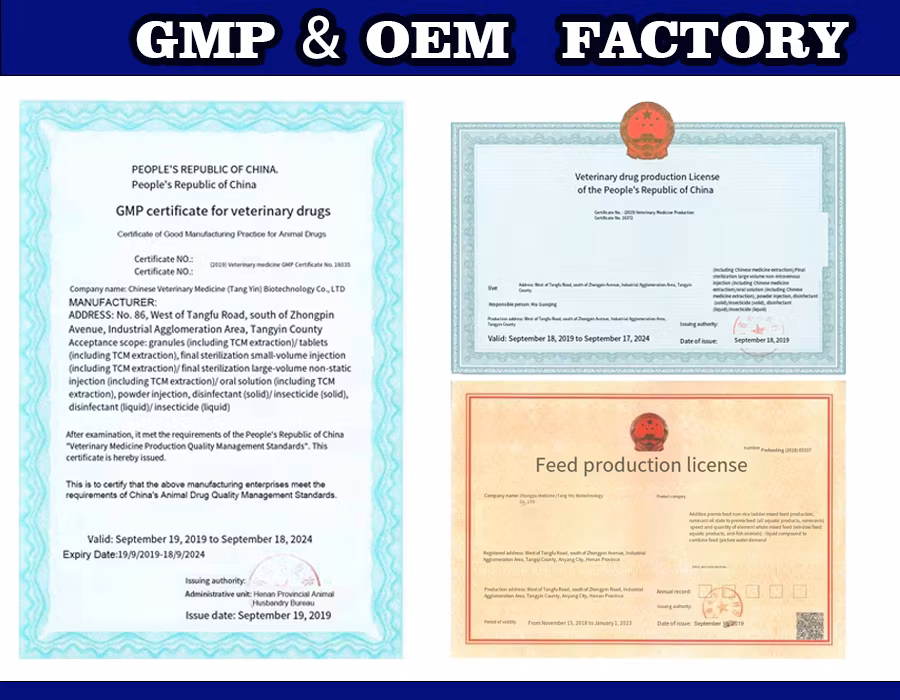 OEM Facotry Anti-Gumboro Bursa Fabricius Powder Prevent Early Chick Mortality Medicine Herbs