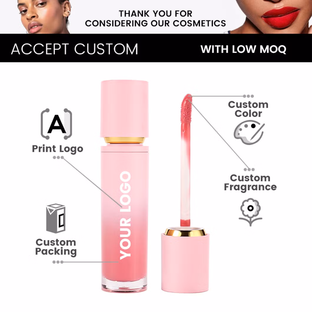Hot Selling Cosmetics Lip Makeup Matte Private Label Cosmetics with GMPC