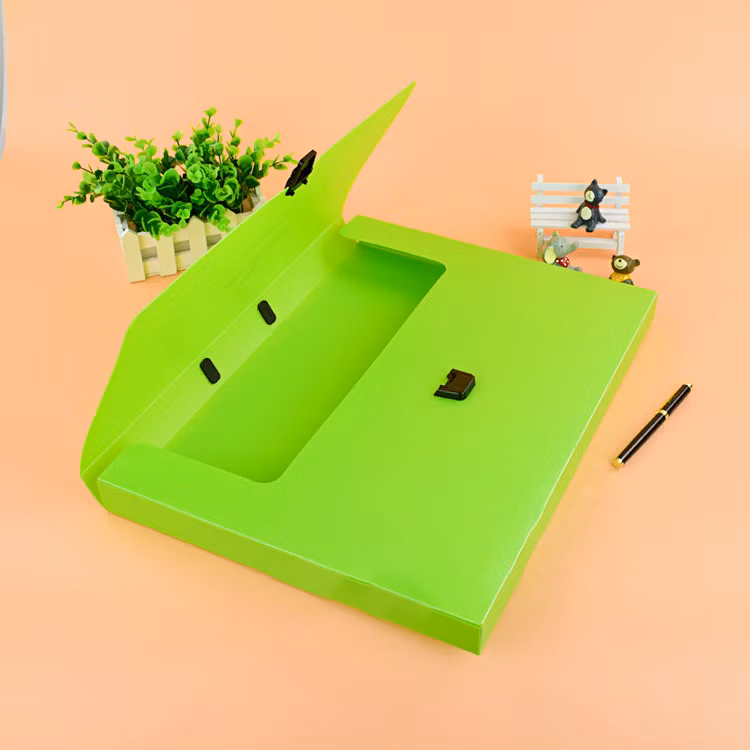 New Pattern A4 Portable PP Buckle Document Case for Office