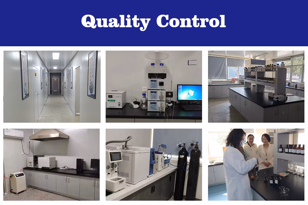 Anti Toxin Binder Safe Health Feed Grade Animal Feed Mycotoxin Cleaner Anti-Mold Feed Additives