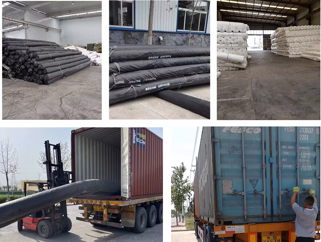 HDPE Geomembrane 0.3 mm 0.5 mm 0.75 mm 1.0 mm 1.5 mm Lotus Root Pond Waterproof Effect Good Custom Size Color