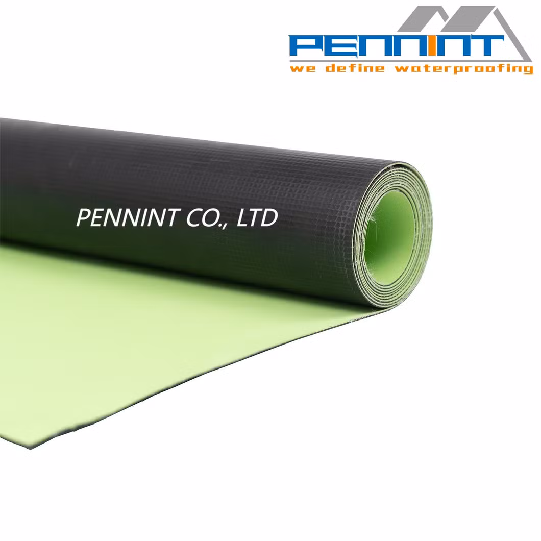 Roofing Material Plastic PVC Waterproofing Membrane for Tunnel/Basement