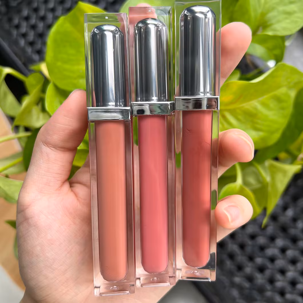 Custom Logo Matte Lip Makeup Long Lasting Private Label Cosmetics with GMPC