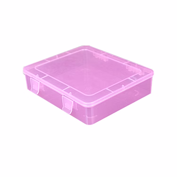 Storage Case Plastic Storage Box Organizer Small Packaging Holder