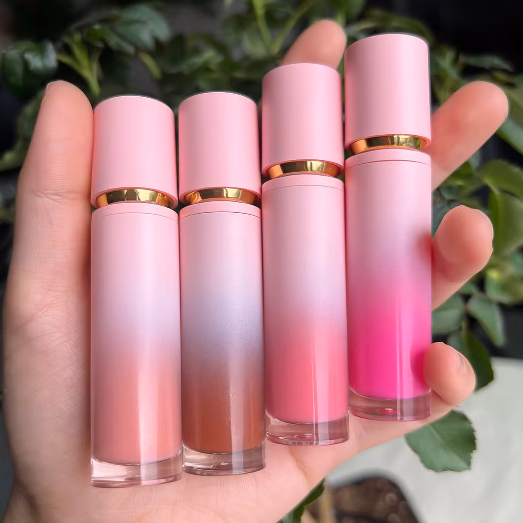 Hot Selling Cosmetics Lip Makeup Matte Private Label Cosmetics with GMPC