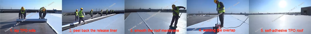 UV Resistant Self-Adhered Roof Waterproofing 1.5mm 60mil Roofing Tpo Membrane