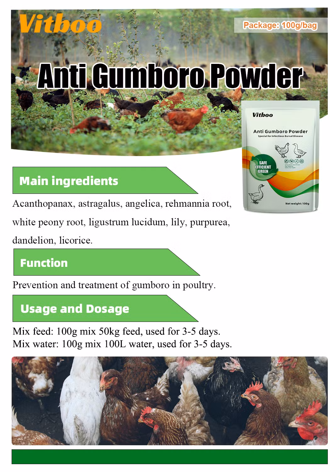 Private Label Chick Gumboro Treatment Powder Poultry Bursitis Medicine Herbs Prevention Bursa
