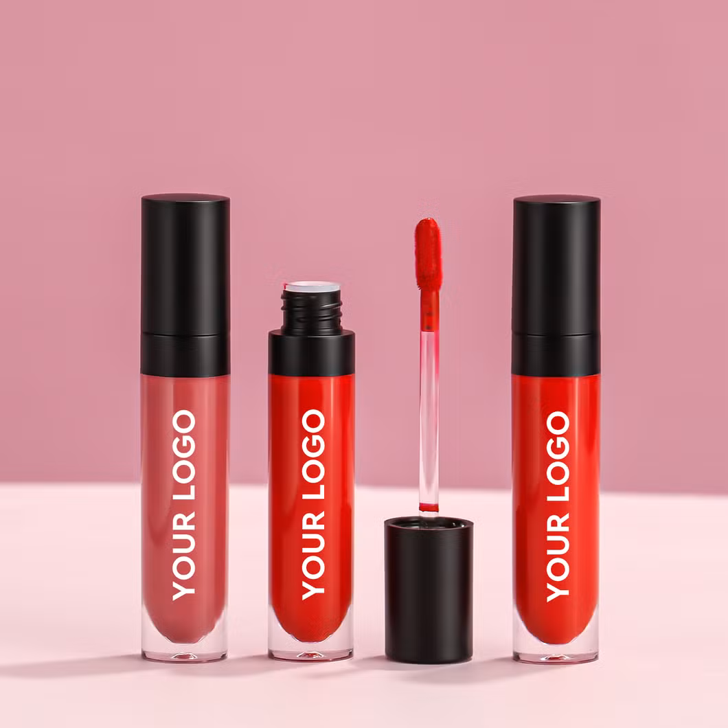 OEM/ODM Lip Gloss Cosmetics Factory Matte Finish Private Label