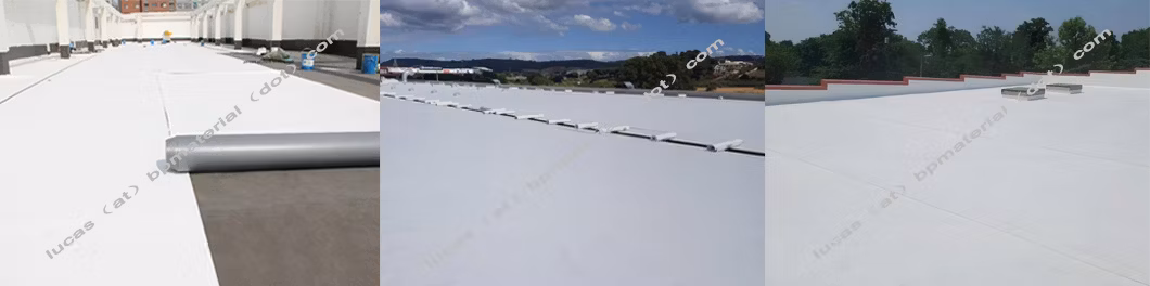 UV Resistant Self-Adhered Roof Waterproofing 1.5mm 60mil Roofing Tpo Membrane