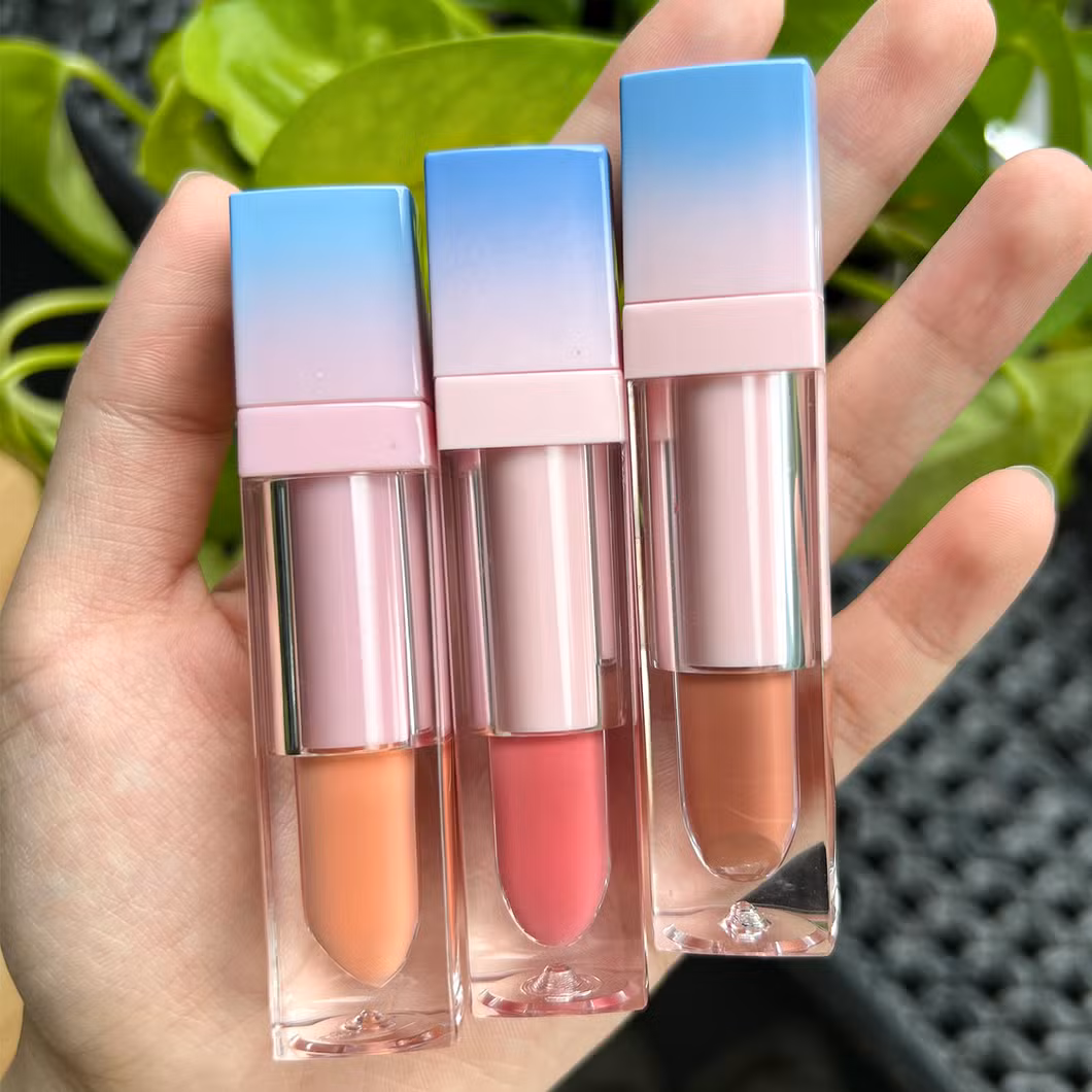 Custom Logo Lipgloss Cosmetics Private Label with High-Quality Ingredients Free Samples