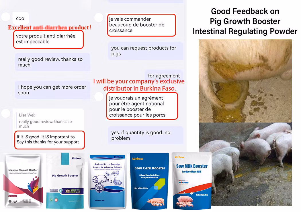 OEM Facotry Anti-Gumboro Bursa Fabricius Powder Prevent Early Chick Mortality Medicine Herbs