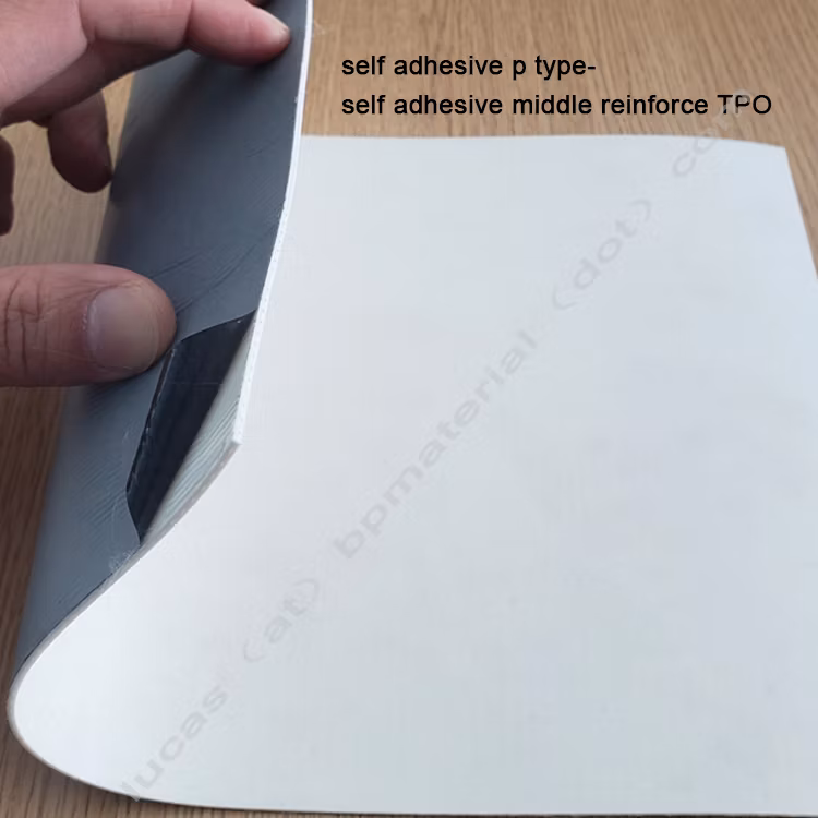 UV Resistant Self-Adhered Roof Waterproofing 1.5mm 60mil Roofing Tpo Membrane