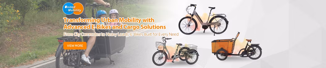 E Cargo Bike for Carrying Kids 20/26 Inch Electric Cargo Bicycle with Large-Capacity