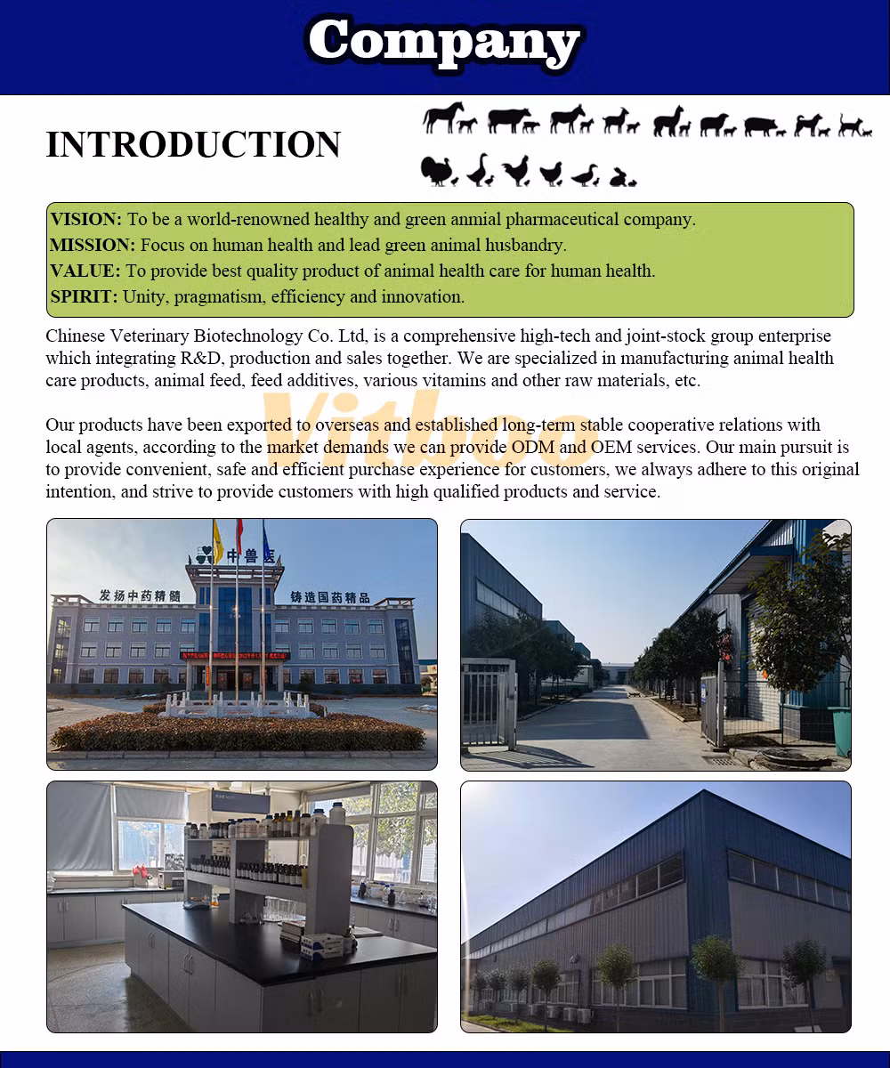OEM Facotry Anti-Gumboro Bursa Fabricius Powder Prevent Early Chick Mortality Medicine Herbs