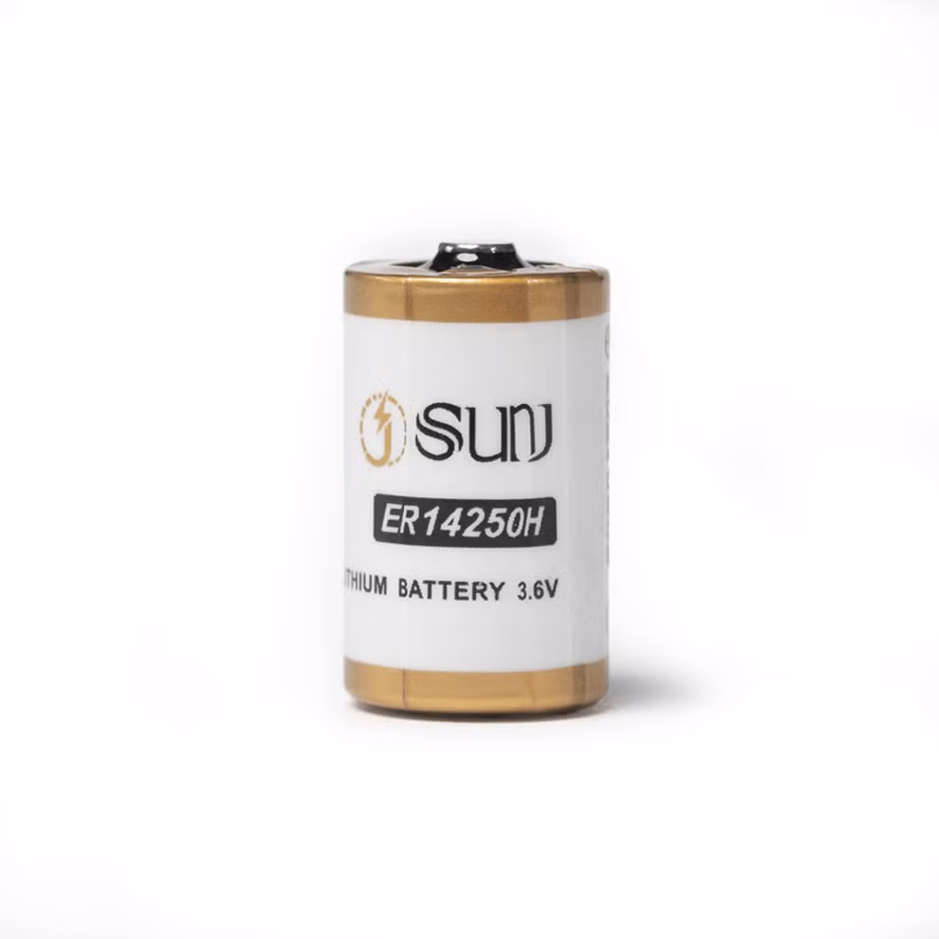 Cell Large Capacity Factory Direct Supply Primary Lithium 3.6V Battery Er14250h Meter