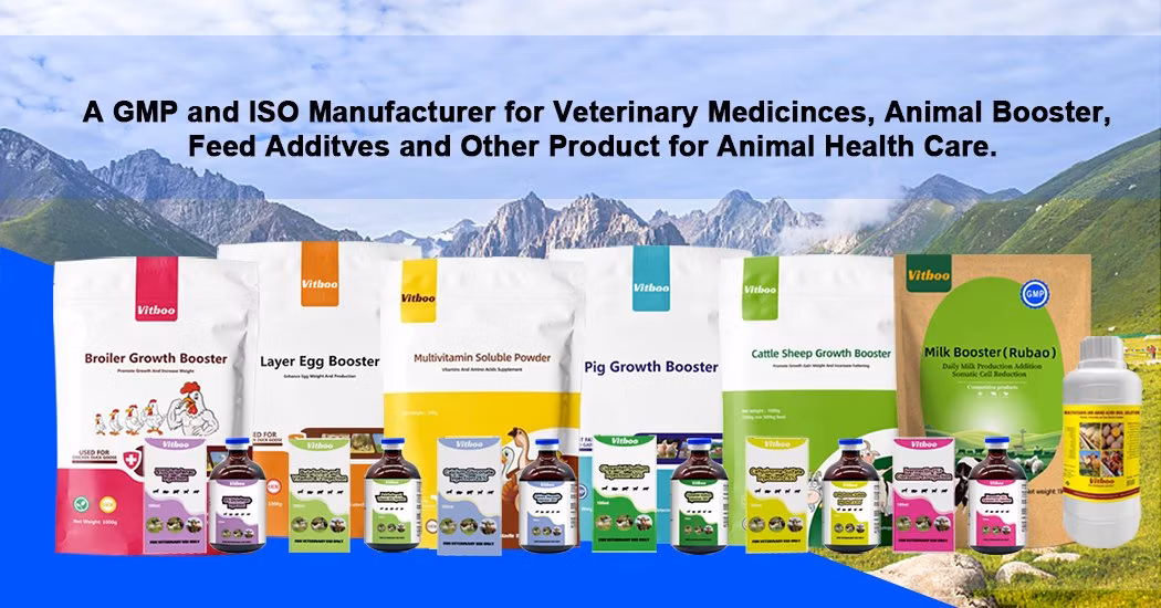 Safe Growth Promoting Feed Additive for Ruminants Cattle Sheep Cow Goat