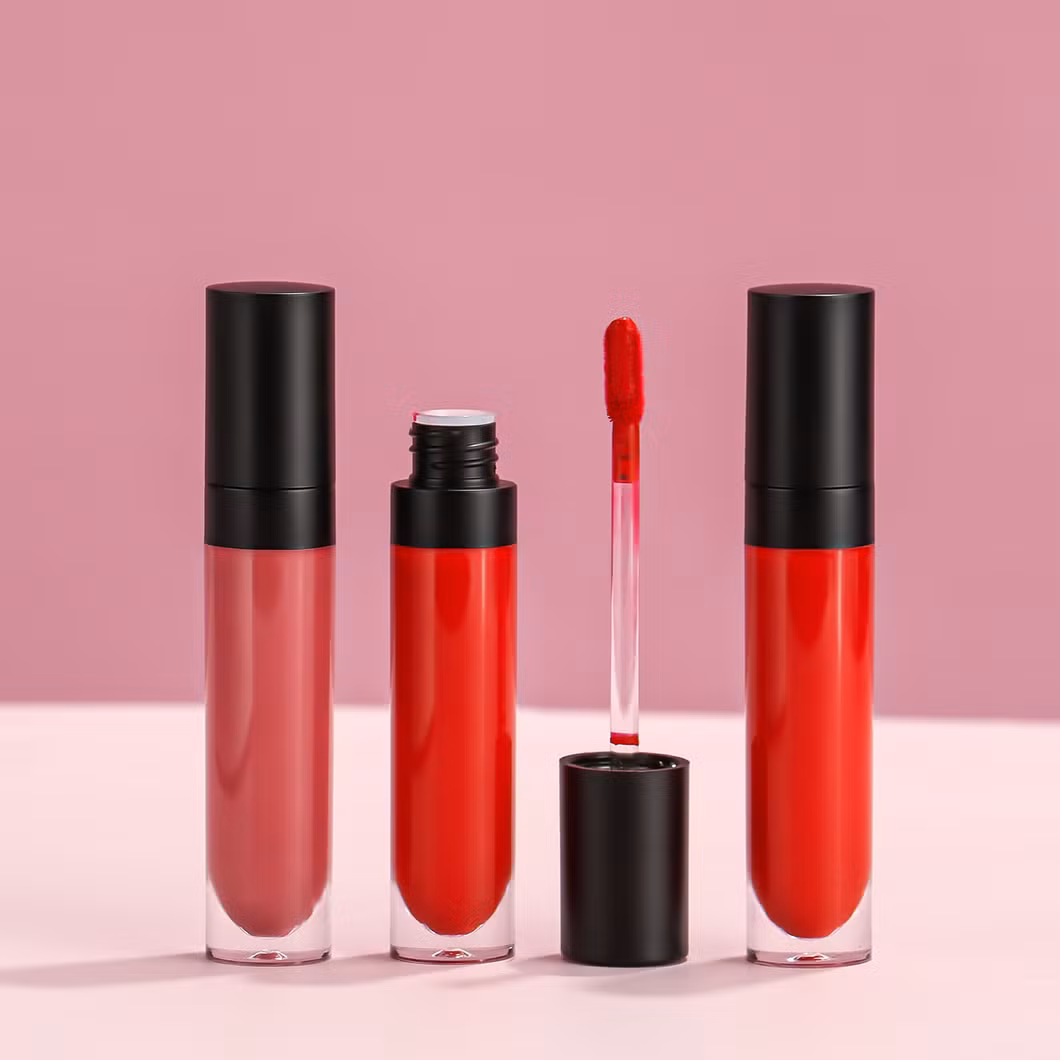 OEM/ODM Lip Gloss Cosmetics Factory Matte Finish Private Label
