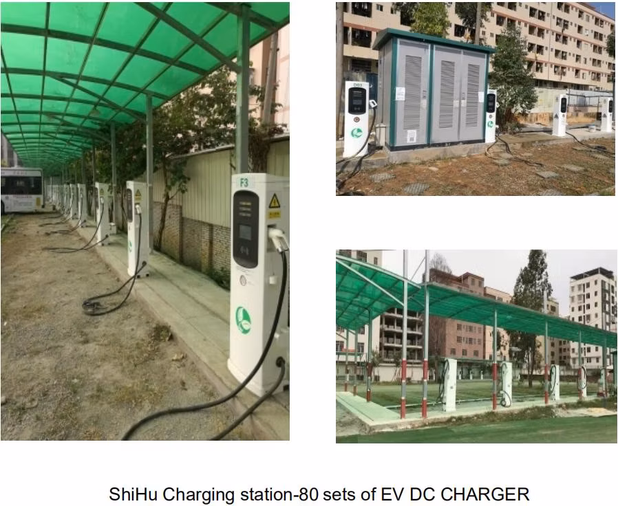Tonhe CE Certificated 240kw DC Split Type EV Chargers Fast Charging Station for EV Cars