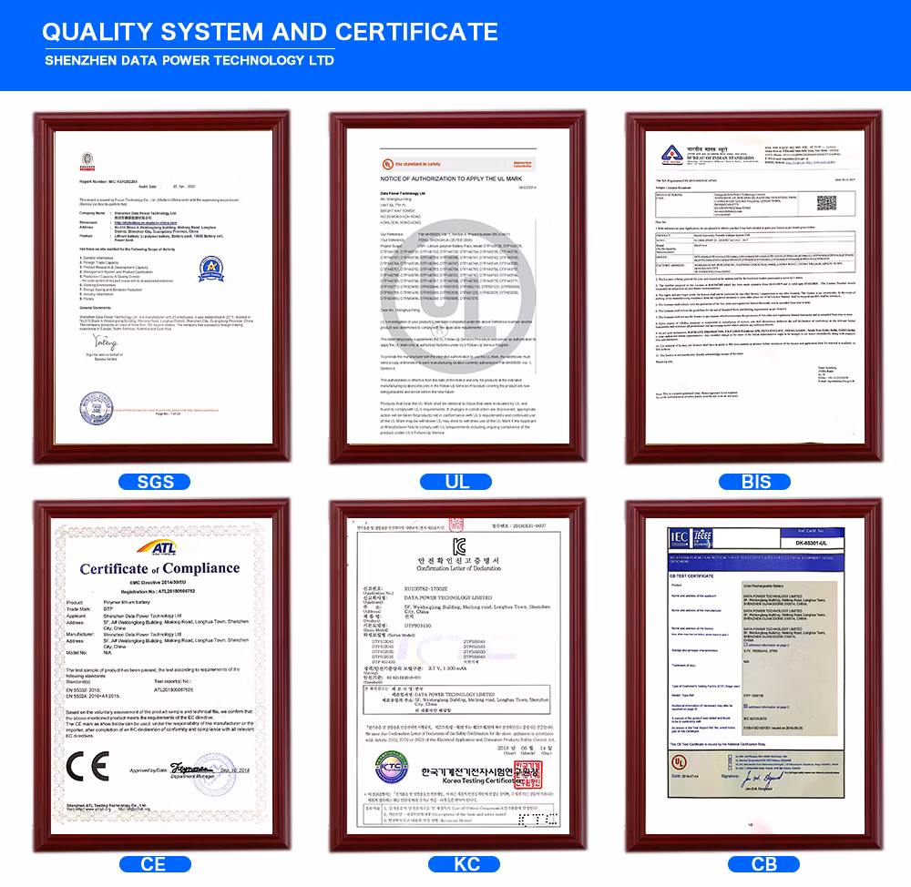 Guangdong Factory Customization Drone Battery 18650 Li-ion Battery Packs