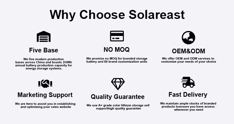 Solareast CE Certified 5kwh 10kwh 15kwh 30kwh Backup Power Wall Mounted LiFePO4 Battery for Solar Home Energy Storage