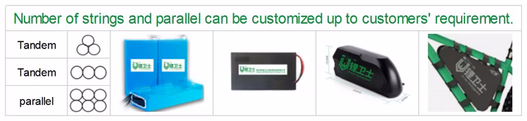 Lws 36V 48V 10ah 20ah Electric Bicycle Lithium 18650 Cell Battery Pack