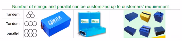 Lws 36V 48V 10ah 20ah Electric Bicycle Lithium 18650 Cell Battery Pack