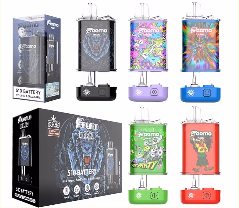 Most Popular Feemo Magic Disposable Vape Pod Charging Type C Rechargeable 650 mAh Recharger Battery