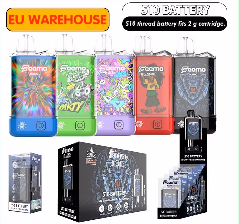 Most Popular Feemo Magic Disposable Vape Pod Charging Type C Rechargeable 650 mAh Recharger Battery