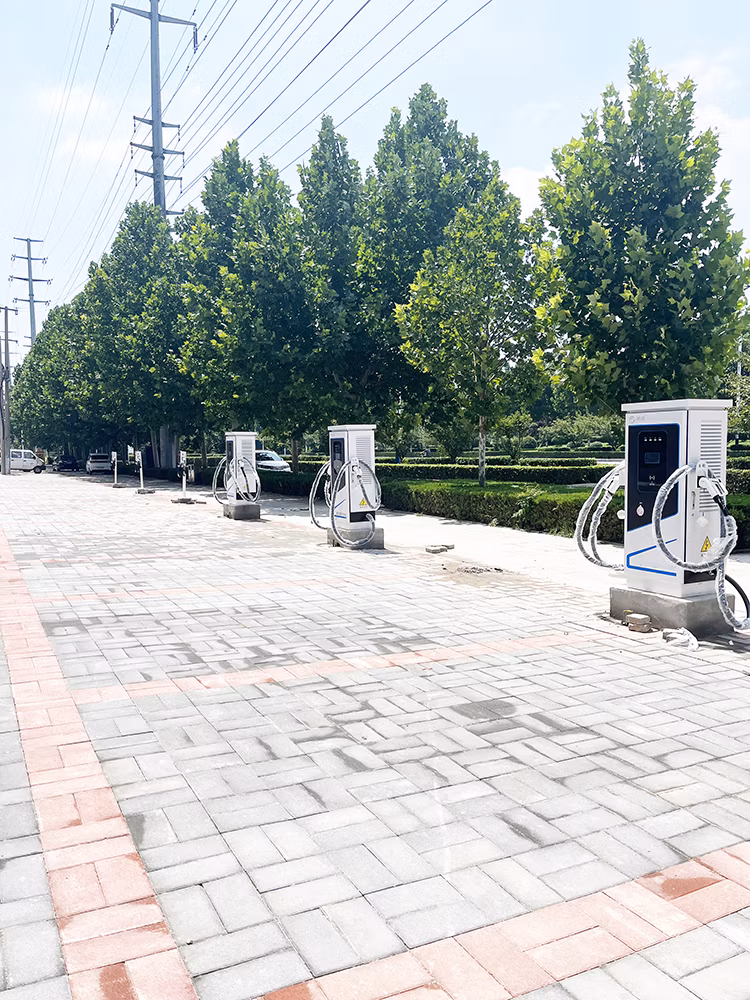 China Made 120kw High Ground Installation EV DC CCS2 Charger