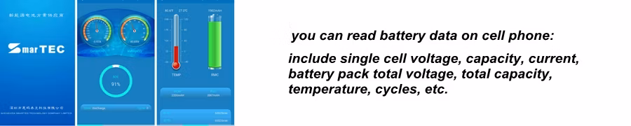 Long Cycle Life 12V 100ah Lithium Iron Phosphate LiFePO4 Maintenance Free Long Life Emergency Life Battery Pack for PV Energy Storage/ Household Energy Storage