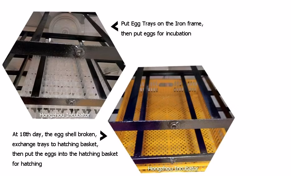 High Power Automatic Chicken Duck Bird Egg Incubator Machine Manufacturer