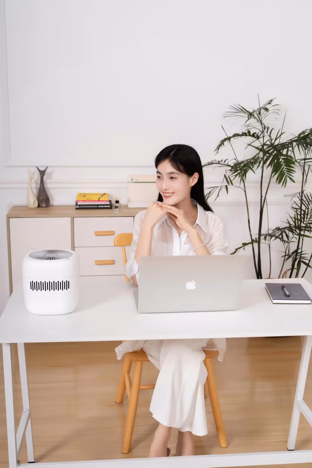 Cute portable Evaporative Air Diffuser Humidifier for home With 1pc UV light