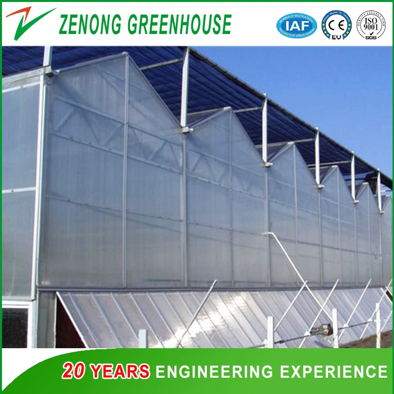 High Qualtiy Double Layer Hollow PC Board Greenhouse with Heating Fan for Cold Area