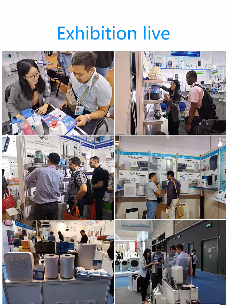 280ml Capacity High Quality Portable Homemade Ozone Disinfection Water Purifier Generator Sprayer