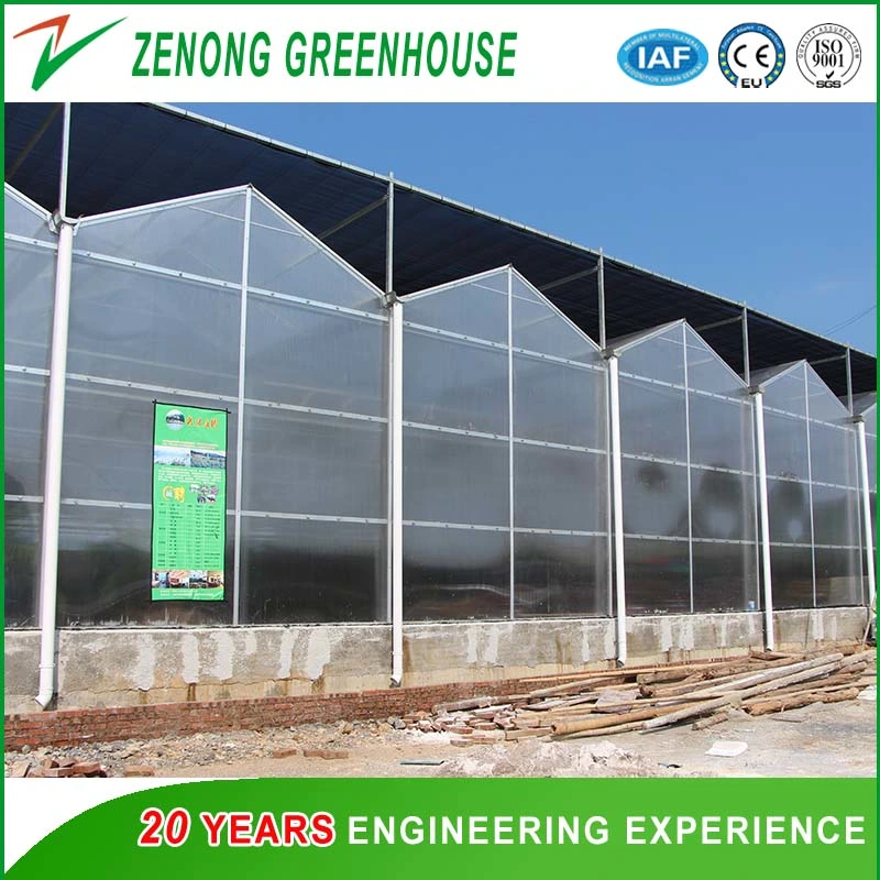 High Qualtiy Double Layer Hollow PC Board Greenhouse with Heating Fan for Cold Area