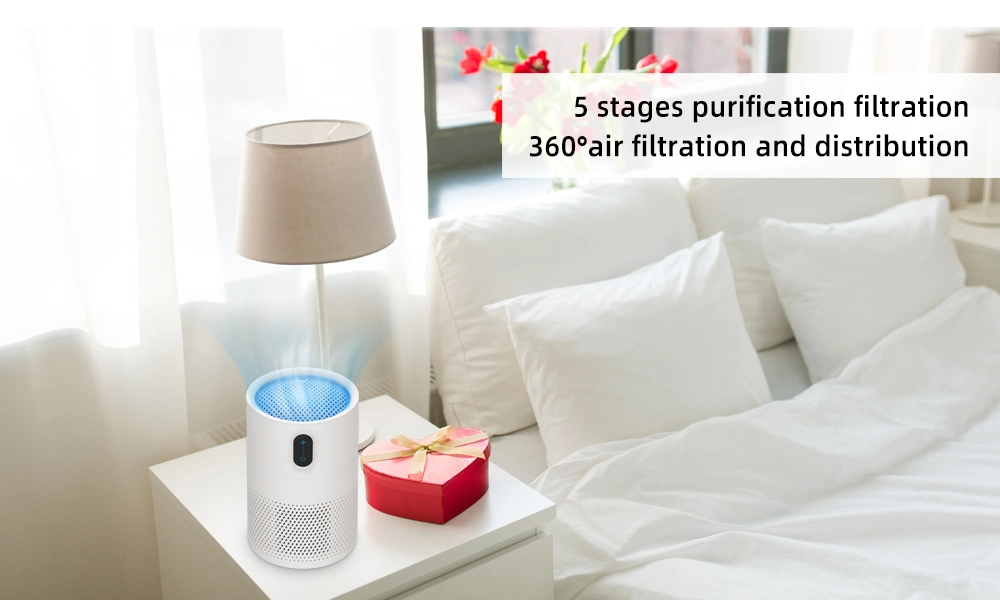 High Performance DC Motor BSCI Certified Indoor RoHS Conditioner Humidifier Air Purifier