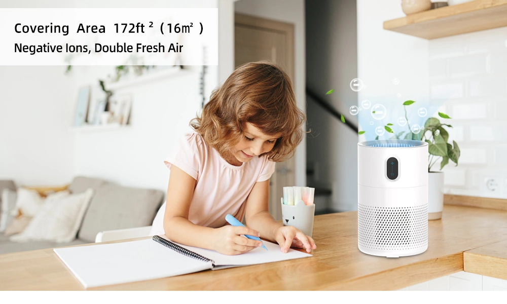 High Performance DC Motor BSCI Certified Indoor RoHS Conditioner Humidifier Air Purifier