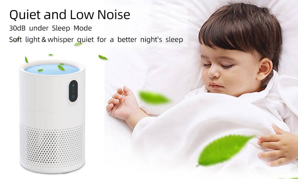 High Performance DC Motor BSCI Certified Indoor RoHS Conditioner Humidifier Air Purifier