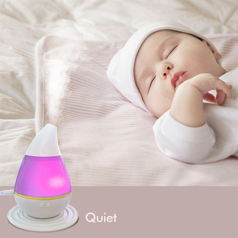 Mini USB Rechargeable Air Diffuser Atomization Humidifier