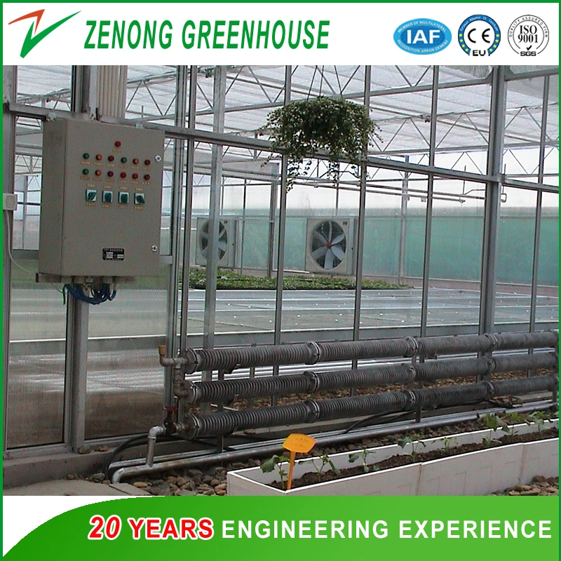 Polycarbonate Board Covered Greenhouse with Circular Fin Tube for Heat Preservation for Cold Season