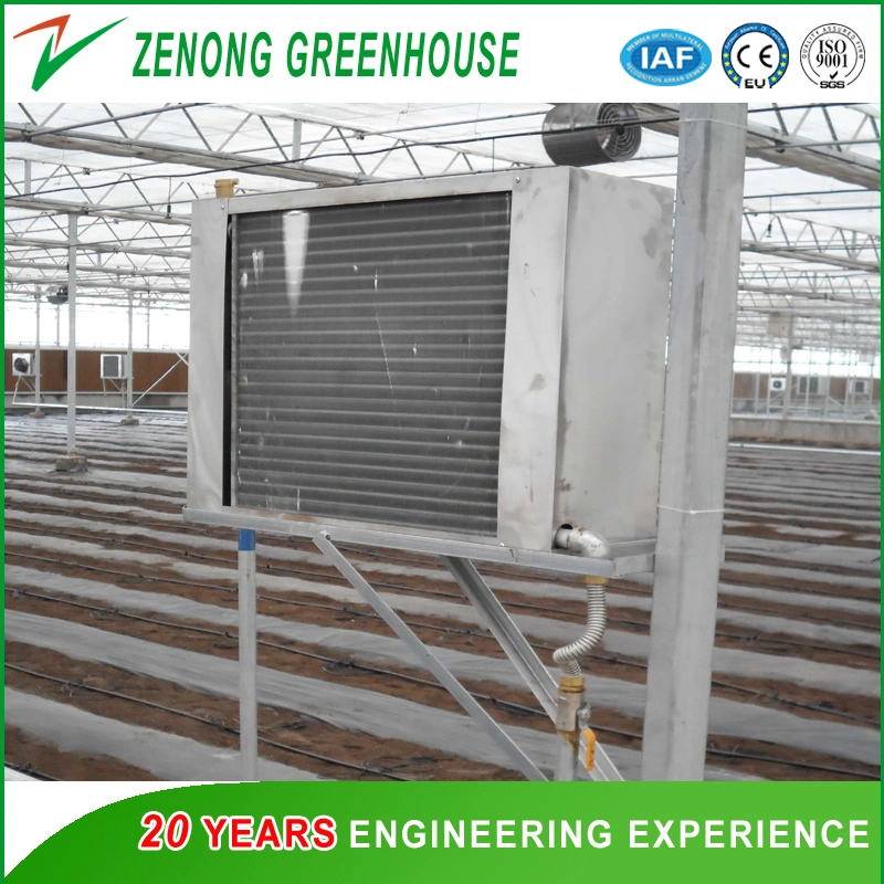Glass Greenhouses with Heating Fan for Cold Area Vegetable/Flower Cultivation