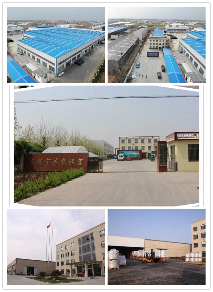 High Qualtiy Double Layer Hollow PC Board Greenhouse with Heating Fan for Cold Area