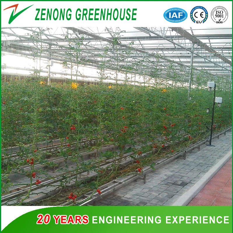 Glass Greenhouses with Heating Fan for Cold Area Vegetable/Flower Cultivation