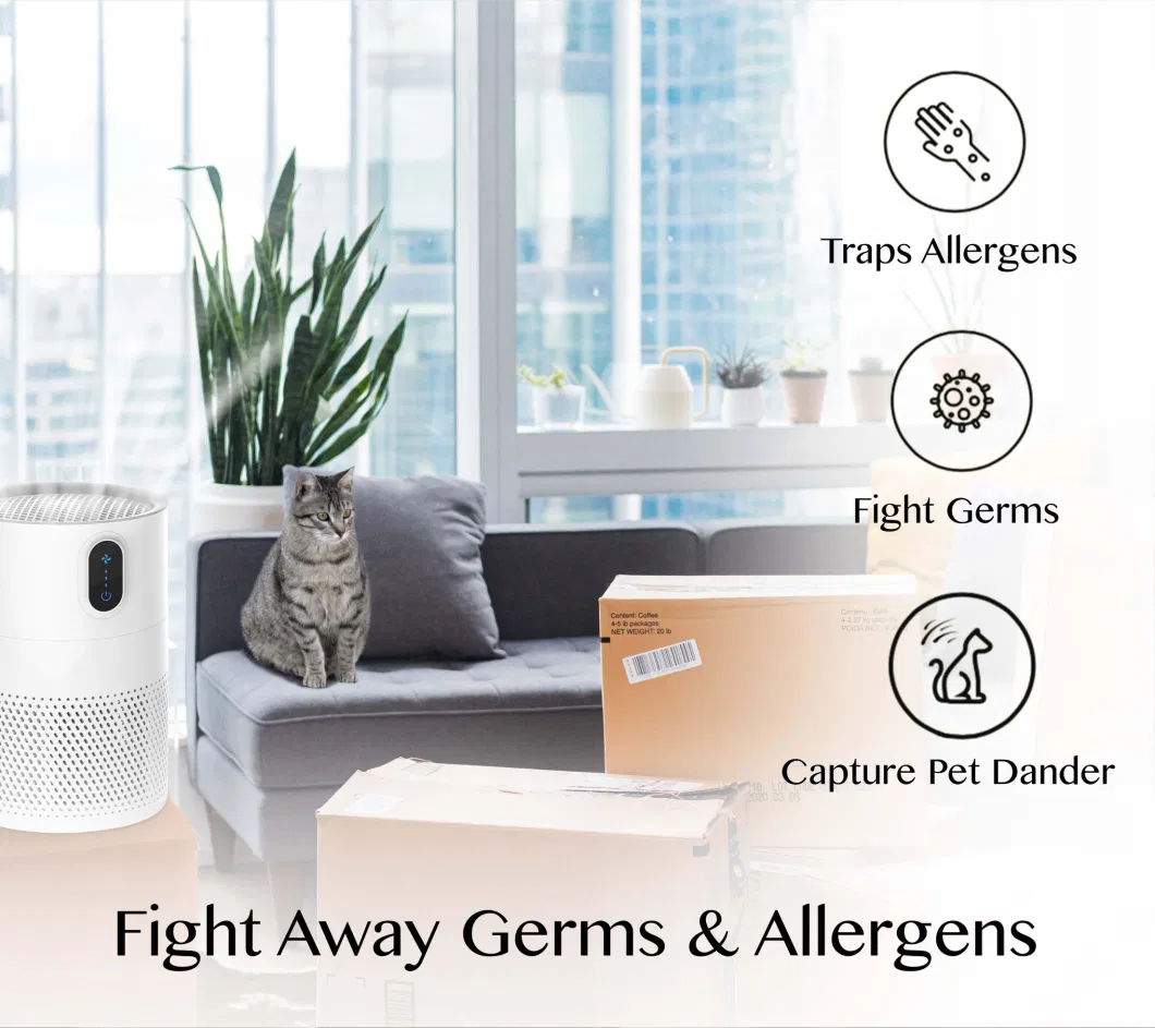 High Performance DC Motor BSCI Certified Indoor RoHS Conditioner Humidifier Air Purifier