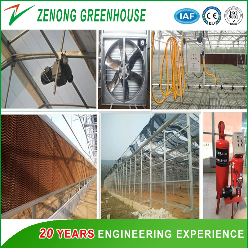 Glass Greenhouses with Heating Fan for Cold Area Vegetable/Flower Cultivation
